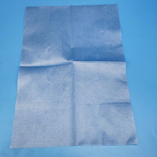 Blue Clean Wiper 25cmx35cm